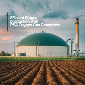 Read more about the article Efficient Biogas Production with PSA Oxygen Gas Generators